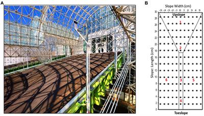 Contrasting Community Assembly Forces Drive Microbial Structural and Potential Functional Responses to Precipitation in an Incipient Soil System